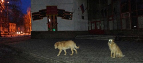 Ryb_09.03.2016-5.jpg