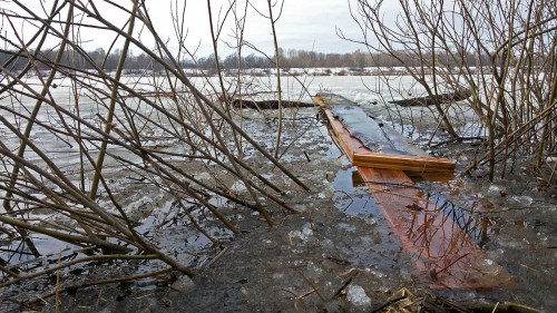 Ryb_11.03.2016-2.jpg