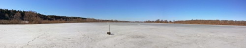 Ryb_13.03.2016-2.jpg