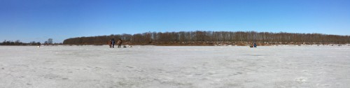 Ryb_13.03.2016-3.jpg