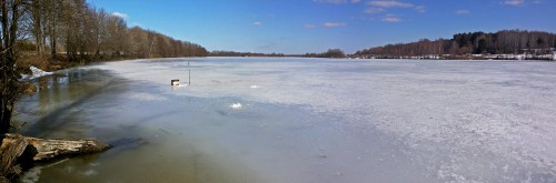 Ryb_15.03.2016-6.jpg