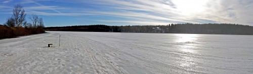 Ryb_17.03.2016-3.jpg