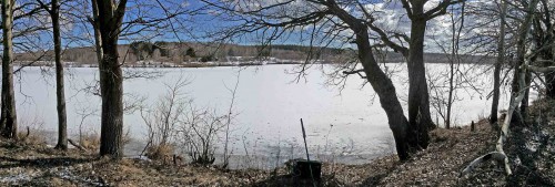 Ryb_19.03.2016-4.jpg