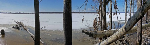 Ryb_21.03.2016-3.jpg