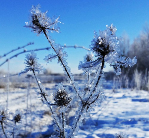 Ryb_21.03.2016-5.jpg