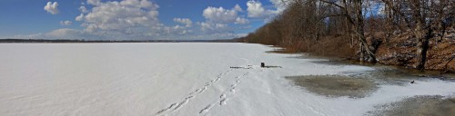 Ryb_21.03.2016-6.jpg