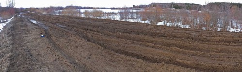 Ryb_21.03.2016-8.jpg