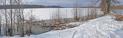 Ryb_23.03.2016-7.jpg