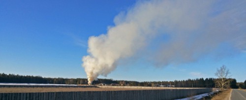 Ryb_29.03.2016-2.jpg