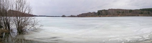 Ryb_04.04.2016-2.jpg