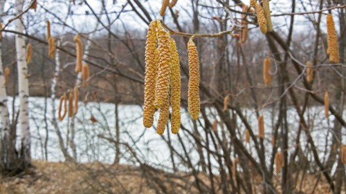 Ryb_04.04.2016-5.jpg