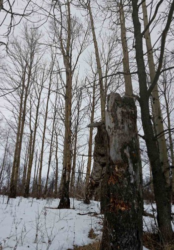 Les_10.02.2016-1.jpg