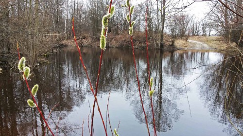 Les_11.04.2016-2.jpg