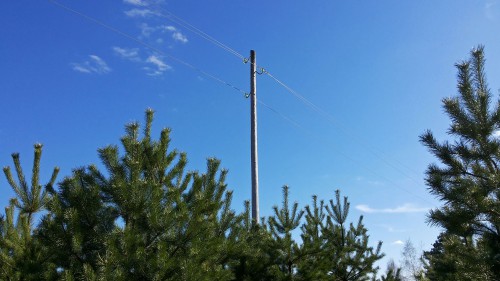 Les_17.04.2016-1.jpg