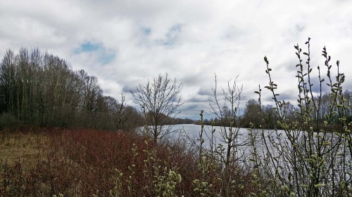Les_17.04.2016-2.jpg
