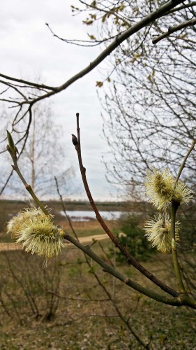 Les_20.04.2016-1.jpg