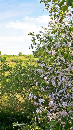 Les_10.05.2016-2.jpg