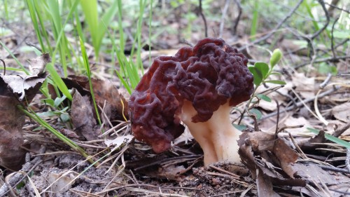 20160509_152525.jpg