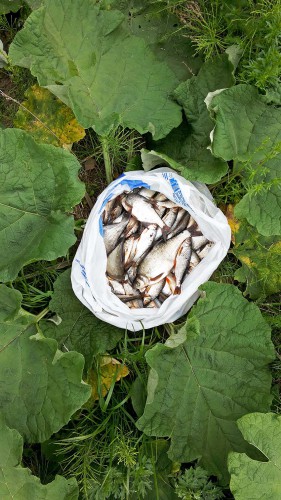 Les_19.05.2016-2.jpg