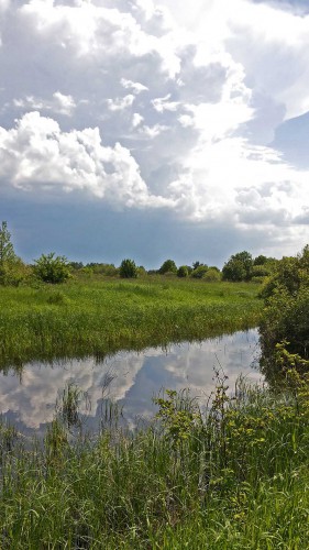 Les_27.05.2016-1.jpg
