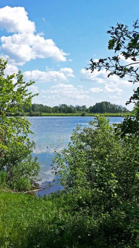 Les_04.06.2016-1.jpg