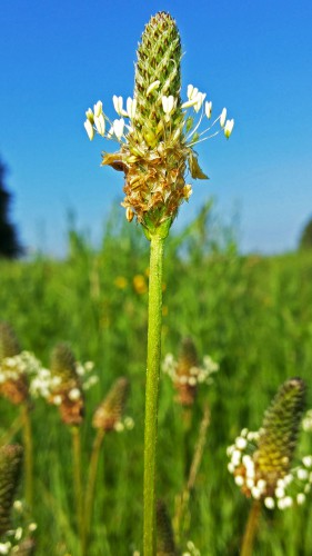 Les_04.06.2016-2.jpg