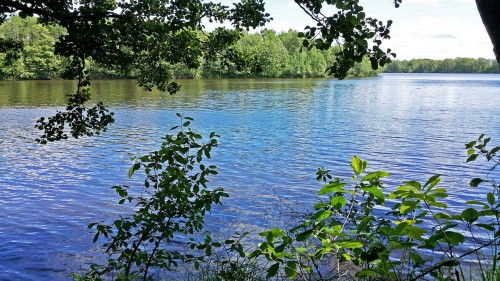 Les_06.06.2016-1.jpg