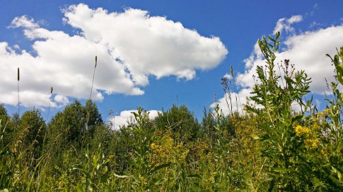 Les_02.07.2016-1.jpg