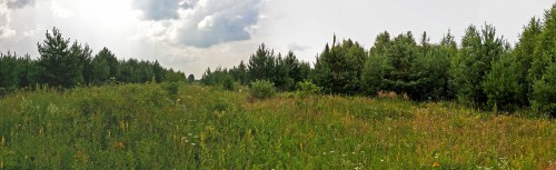 Les_04.07.2016-1.jpg