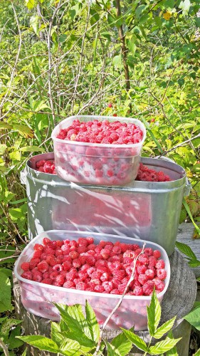 Les_08.07.2016-5.jpg