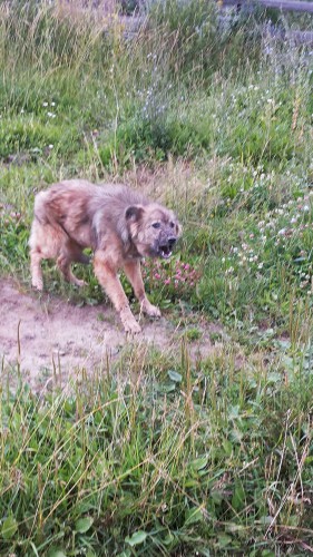 Les_09.07.2016-4.jpg