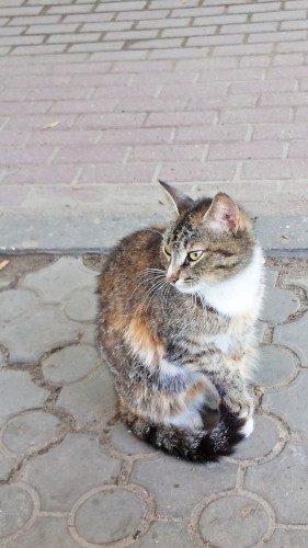 Les_12.07.2016-2.jpg