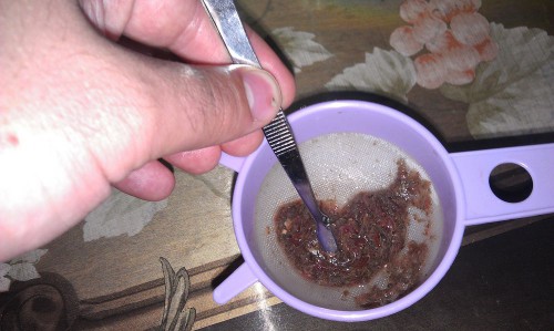 IMAG2736.jpg