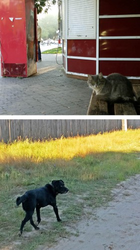 Les_09.08.2016-3.jpg
