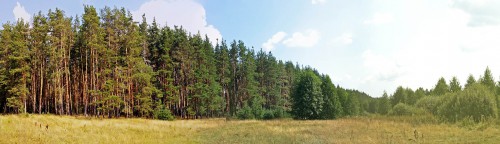 Les_12.08.2016-1.jpg