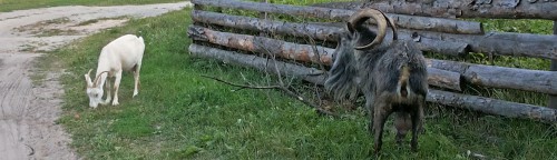 Les_12.08.2016-3.jpg