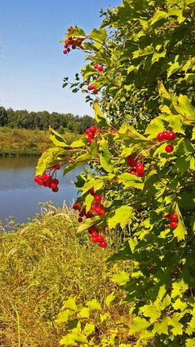 Les_18.08.2016-3.jpg