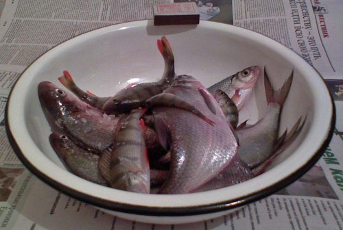 Itogo_25_12_2010.jpg