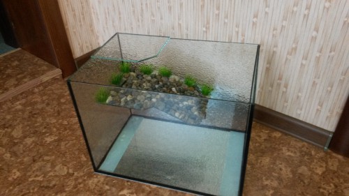 20160831_081716.jpg
