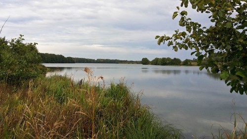Les_04.09.2016-1.jpg
