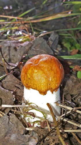 Les_12.09.2016-3.jpg