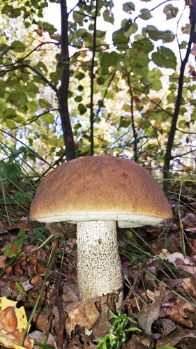Les_12.09.2016-4.jpg