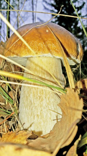 Les_16.09.2016-3.jpg