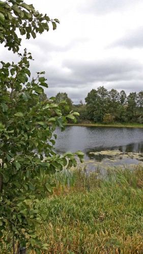 Les_18.09.2016-6.jpg