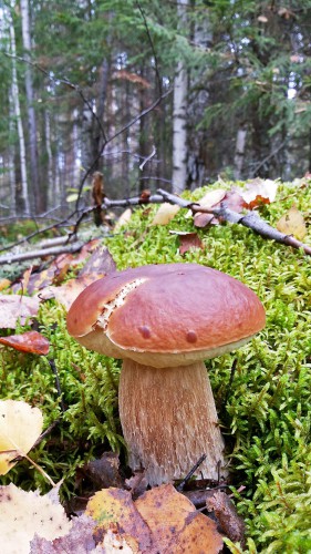 Les_23.09.2016-3.jpg