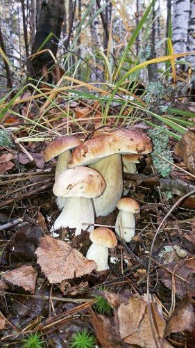 Les_28.09.2016-3.jpg