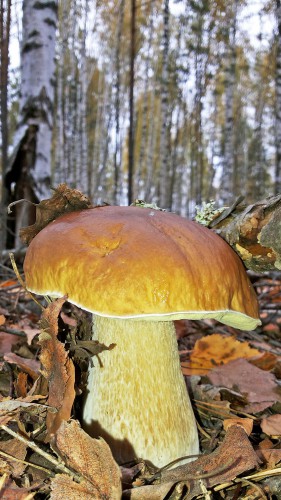 Les_30.09.2016-5.jpg