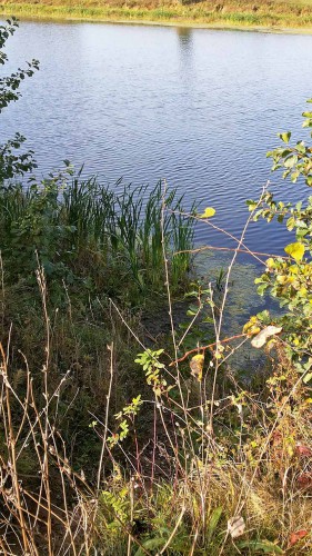 Les_02.10.2016-1.jpg