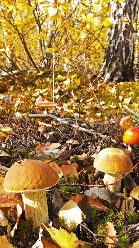Les_04.10.2016-1.jpg