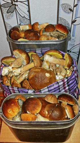 Les_04.10.2016-2.jpg